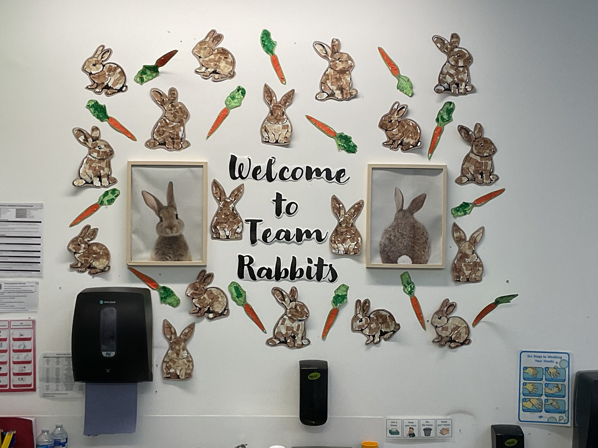 Image of Welcome to Team Rabbits!